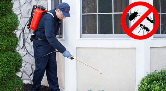 Evka 3 Akrep İlaçlama böcek ilaçlama ve haşere kontrolü — ilaclama-tr.com